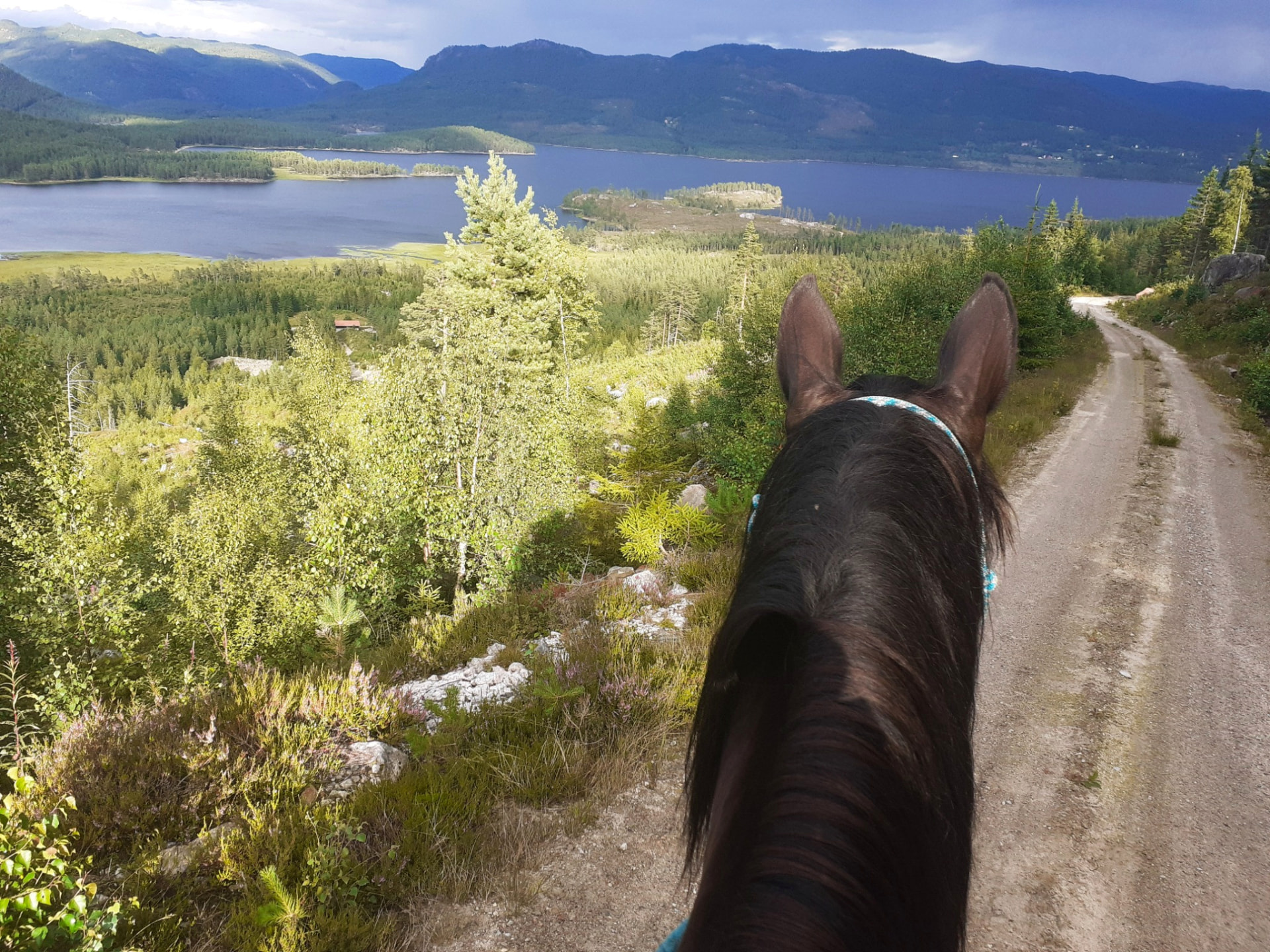Horse-riding trail with a lake view