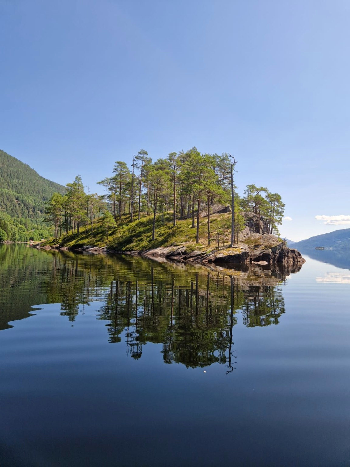 Pine-covered island reflected in a calm lake